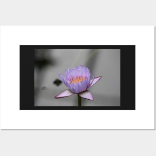 Purple flower Posters and Art